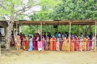 BJP supporters celebrate after Jahar Chakraborti wins Dharmanagar assembly by-election by massive margin