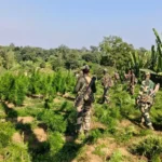 Forest personnel in Tripura preparing for enhanced anti-smuggling operations after government weapon procurement announcement