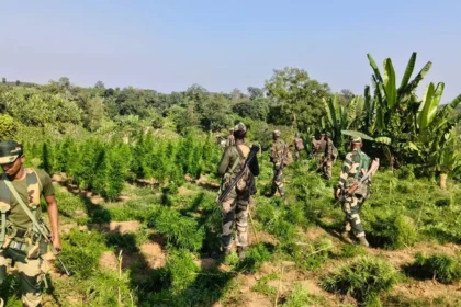 Forest personnel in Tripura preparing for enhanced anti-smuggling operations after government weapon procurement announcement