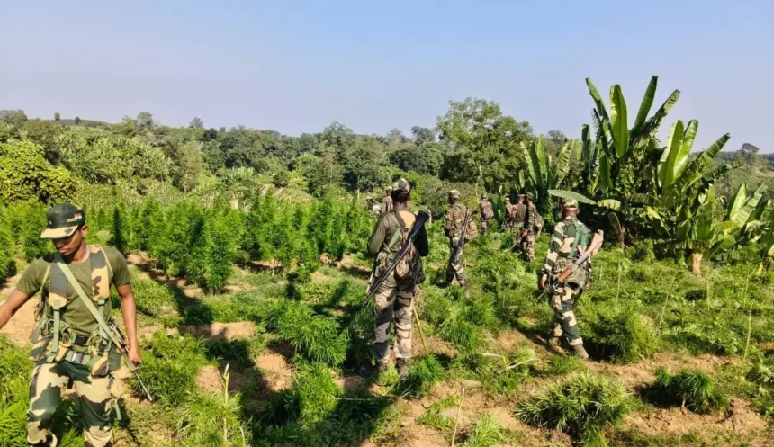 Forest personnel in Tripura preparing for enhanced anti-smuggling operations after government weapon procurement announcement
