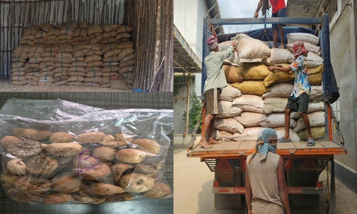 DRI officials displaying seized 60000 kg foreign-origin betel nuts during coordinated anti-smuggling raids in Northeast India.