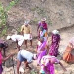 Rural workers engaged in MGNREGA development activities across villages in West Tripura district