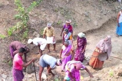 Rural workers engaged in MGNREGA development activities across villages in West Tripura district