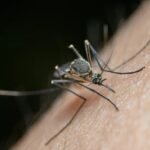 Medical personnel at a rural health centre conduct preparedness activities following a state advisory on monsoon-related vector-borne diseases