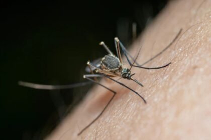 Medical personnel at a rural health centre conduct preparedness activities following a state advisory on monsoon-related vector-borne diseases
