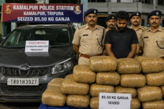 Tripura Police and BSF personnel inspect a vehicle after seizing a large quantity of suspected dried cannabis during a highway interception operation.