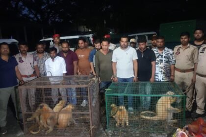 Assam News, Fisheries Department, Cage Culture, Aquaculture Technology