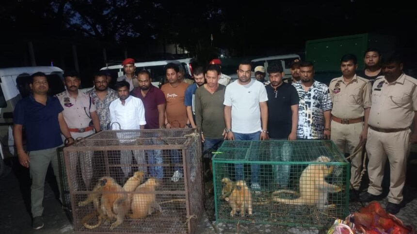 Assam News, Fisheries Department, Cage Culture, Aquaculture Technology