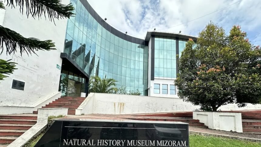 The Mizoram University Museum displays preserved biological specimens after being designated as India's 21st National Biodiversity Repository.