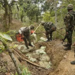 Security personnel conducting search operations in Manipur as part of efforts to recover illegally held weapons.