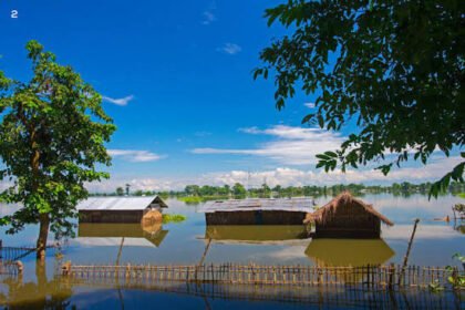 Floodwaters cover parts of Kaziranga National Park as forest authorities monitor wildlife movement and habitat conditions during the seasonal flooding period.