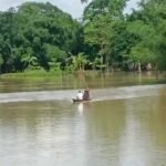 Floodwaters inundate homes and roads across Sivasagar district as residents navigate submerged neighborhoods during Assam's ongoing flood emergency affecting more than 2 lakh people.
