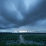 Dark monsoon clouds and steady rainfall cover a lush landscape in Northeast India as the active July monsoon strengthens across the region.