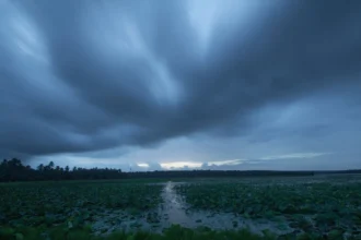 Dark monsoon clouds and steady rainfall cover a lush landscape in Northeast India as the active July monsoon strengthens across the region.