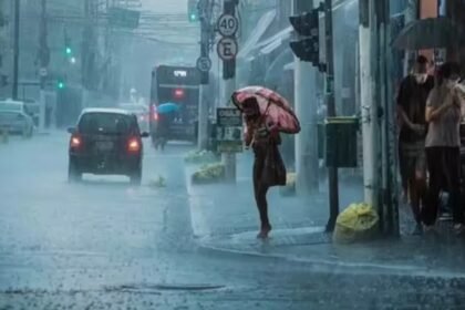 IMD issues an orange weather alert for heavy rainfall across Nagaland, Manipur, Mizoram and Tripura.
