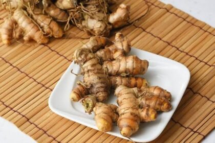 Expanded agricultural funding supports organic ginger processing hubs in Aizawl under the Mizo Ginger Mission.