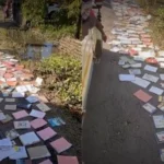 Youth volunteers in Sivasagar spread flood-damaged school textbooks along roadsides to dry and salvage educational materials.