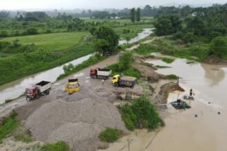 Officials review alleged illegal mining and deforestation along the Assam-Nagaland border amid escalating legal objections.