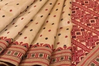 Assam expands financial safeguards for traditional weavers under its Muga silk protection initiative.