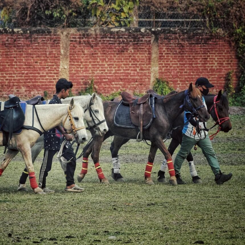 Conservation funding supports the Manipuri Pony and improvements to the historic Imphal Polo Ground in Manipur.