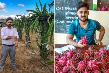 Agricultural experts demonstrate advanced dragon fruit cultivation techniques to farmers during a state training workshop in Serchhip, Mizoram.