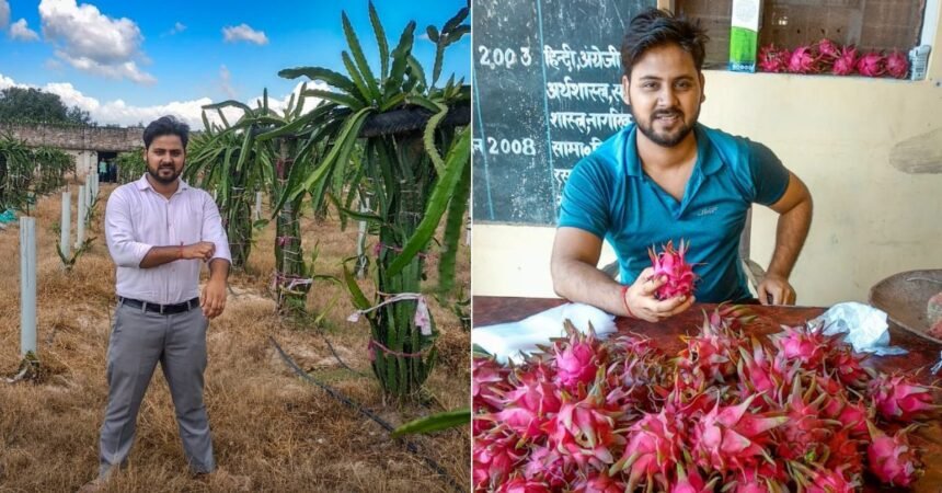 Agricultural experts demonstrate advanced dragon fruit cultivation techniques to farmers during a state training workshop in Serchhip, Mizoram.