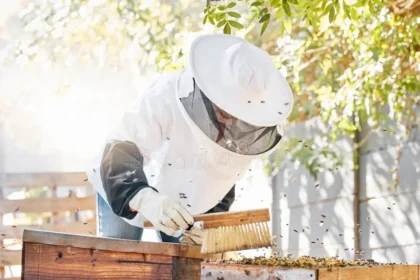 A newly inaugurated honey processing unit in Phek where wild honey harvesters prepare and process honey using modern equipment to improve product quality.