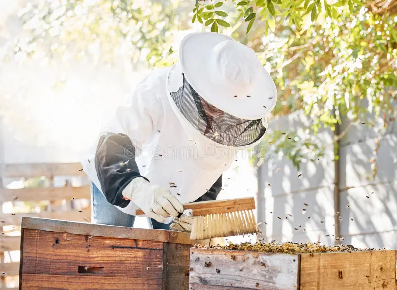 A newly inaugurated honey processing unit in Phek where wild honey harvesters prepare and process honey using modern equipment to improve product quality.