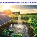 Vegetable farmers in Kakching receive solar-powered irrigation pumps under a government micro-irrigation initiative designed to improve water access and promote sustainable agriculture.