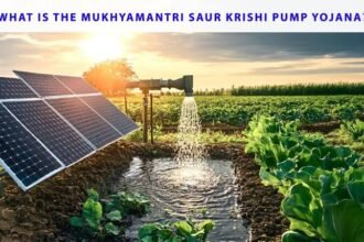 Vegetable farmers in Kakching receive solar-powered irrigation pumps under a government micro-irrigation initiative designed to improve water access and promote sustainable agriculture.