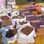 Assam drug crackdown now destroys Rs 300 crore drugs