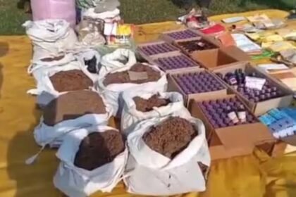 Assam drug crackdown now destroys Rs 300 crore drugs