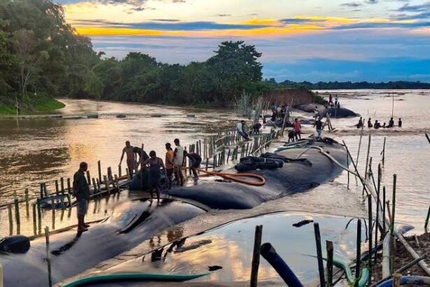 Assam floods now claim 104 lives as 78,000 remain affected
