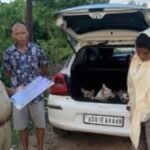 Dog smuggling in Assam now triggers police crackdown