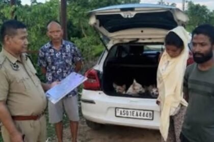 Dog smuggling in Assam now triggers police crackdown