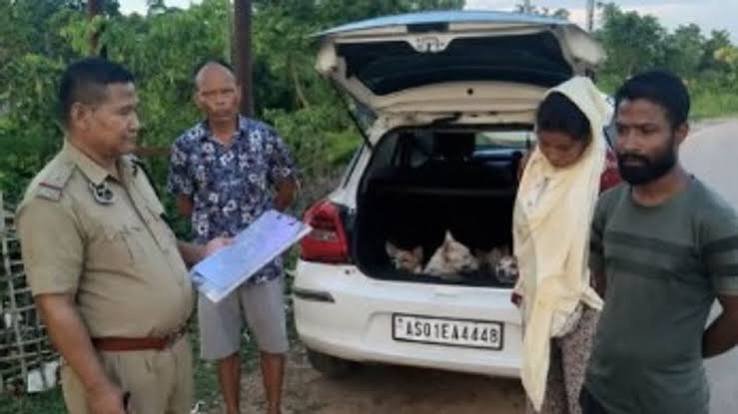 Dog smuggling in Assam now triggers police crackdown
