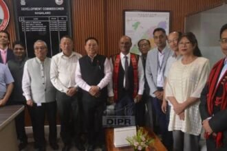 Nagaland power deficit now drives fresh investment push