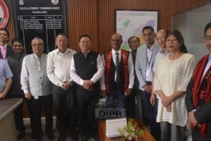 Nagaland power deficit now drives fresh investment push
