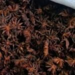 Arunachal’s Khagi spice brings Rs 39 lakh to 200 households while helping protect forests