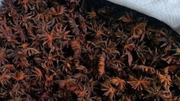 Arunachal’s Khagi spice brings Rs 39 lakh to 200 households while helping protect forests