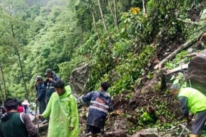 Volunteers and forestry officials plant saplings across barren hill slopes in Sikkim as part of a state-wide afforestation campaign aimed at reducing future landslide risks.