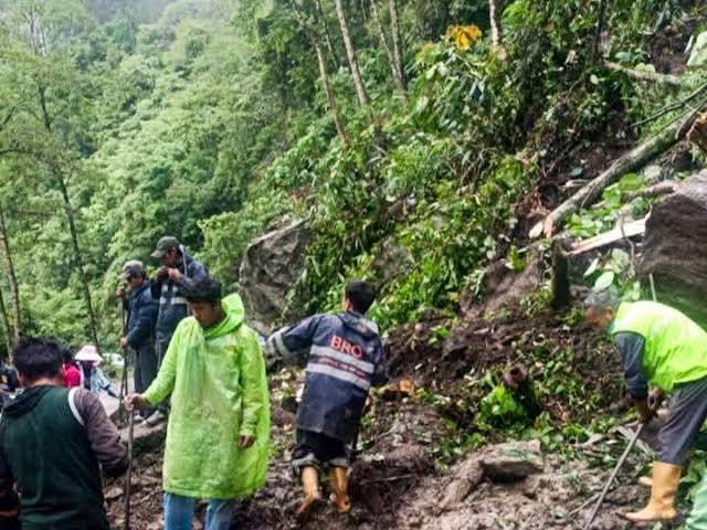 Volunteers and forestry officials plant saplings across barren hill slopes in Sikkim as part of a state-wide afforestation campaign aimed at reducing future landslide risks.
