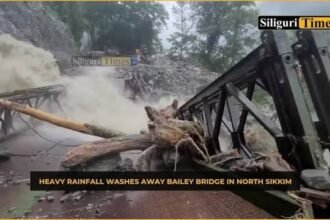 A washed-away Bailey bridge in Lower Subansiri after a swollen hill stream destroyed the vital road crossing during heavy monsoon rains.