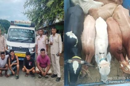 Morigaon cattle now seized as 8 rescued, 4 held