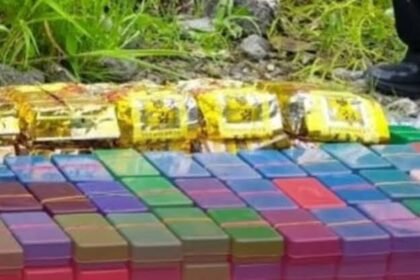 Mizoram drug seizure now crosses Rs 14 crore in crackdown
