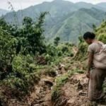 Meghalaya child death prompts urgent reports now